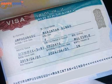 Làm Thế Nào Để Kiểm Tra Visa Hàn Quốc Nhanh Chóng Và Chính Xác Nhất